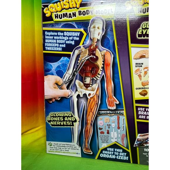 SMARTLAB Toys Totally Squishy from Head-to-Toe Human Body - Picture 5 of 6